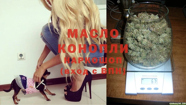 стаф Белоозёрский