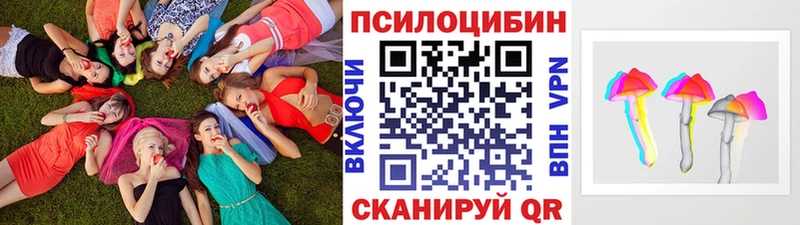 Галлюциногенные грибы Psilocybe  Липецк 